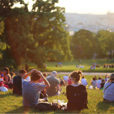 people sitting in a park at sunset